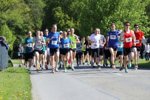 johanniterlauf2016 015